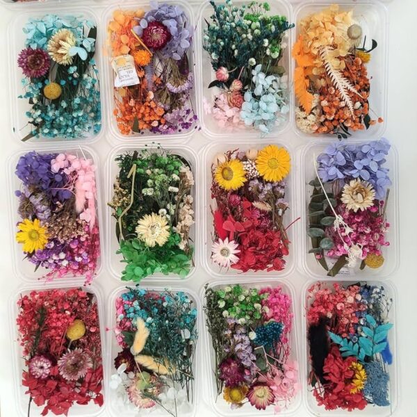 Dried Flowers for Resin Art - Natural Dry Flowers for Decoration, Candle Making, Soap Making, Nail Art & DIY (Pack of 1, Assorted